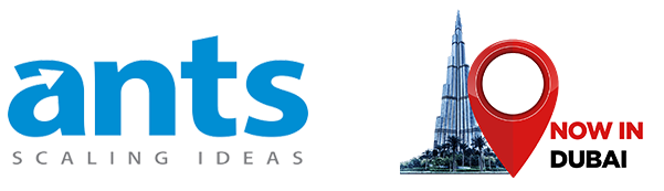 seo agency in dubai
